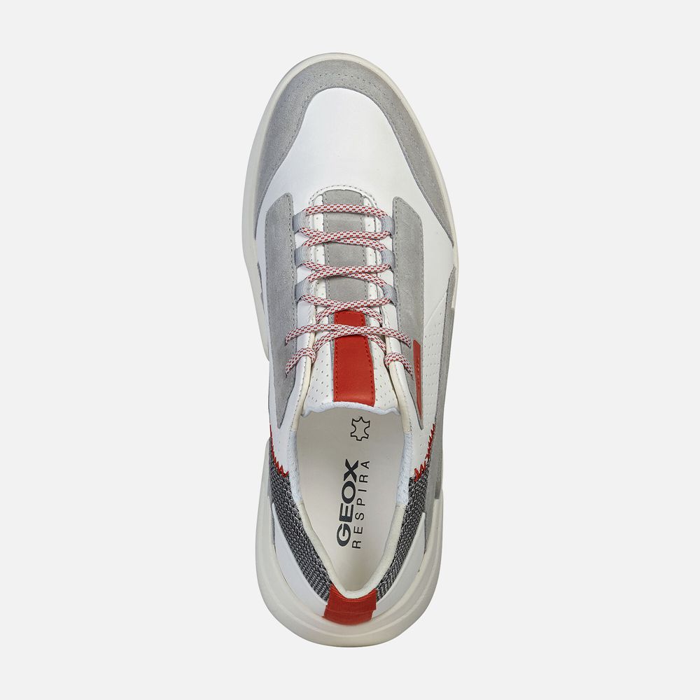 Tenis Geox Homem Branco/Cinzentas - Smoother - RDCFI4013